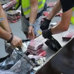 Detenida red que camufló 200 kilos de cocaína en una mudanza